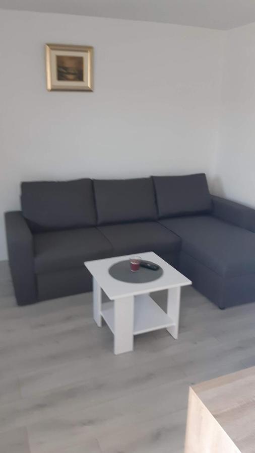 Apartman Abramovic Topusko Esterno foto